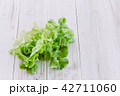 Green vegetables on wooden background  42711060
