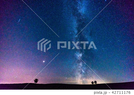 《北海道》美瑛・天の川と親子の木 42711176