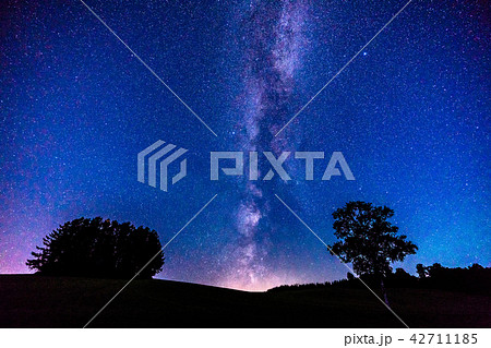 《北海道》美瑛・天の川とマイルドセブンの丘 42711185