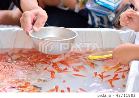 夏祭りの金魚すくいの写真素材