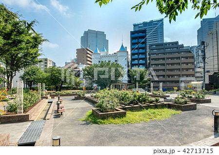 赤坂氷川公園 赤坂氷川公園 42713715