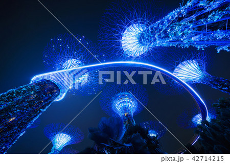 Supertree Grove. Garden by the bay in Marina Bay Supertree Grove. Garden by the bay in Marina Bay 42714215