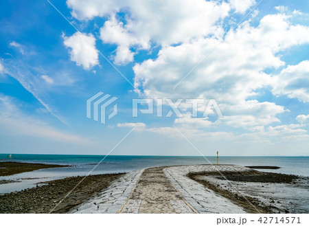 浜の宮海岸 42714571