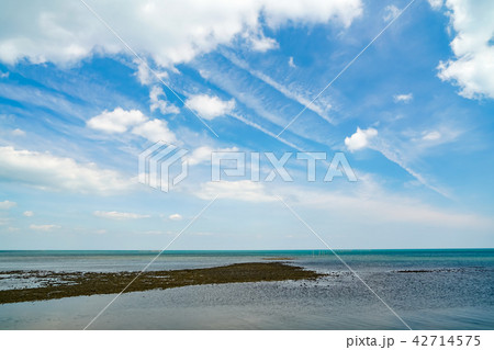 浜の宮海岸 42714575