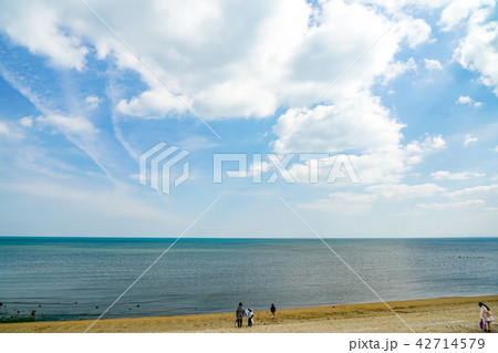 浜の宮海岸 浜の宮海岸 42714579
