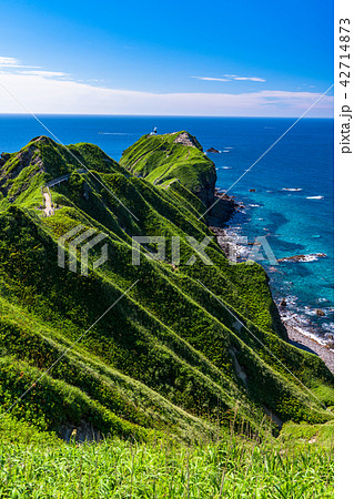 《北海道》神威岬・自然風景 42714873