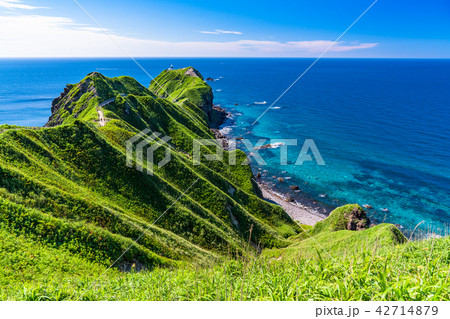 《北海道》神威岬・自然風景 42714879