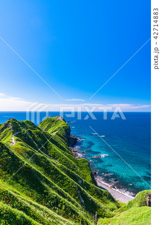 《北海道》神威岬・自然風景 42714883