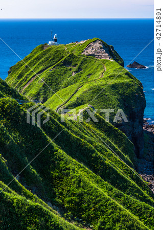 《北海道》神威岬・自然風景 42714891