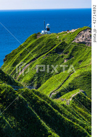 《北海道》神威岬・自然風景 42714892
