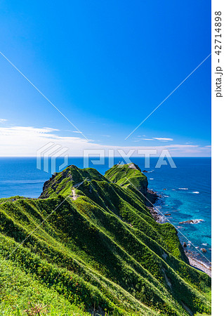 《北海道》神威岬・自然風景 《北海道》神威岬・自然風景 42714898