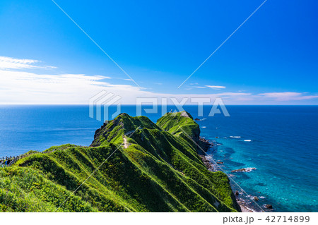 《北海道》神威岬・自然風景 《北海道》神威岬・自然風景 42714899