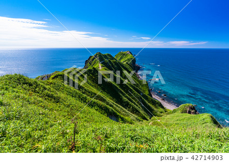 《北海道》神威岬・自然風景 《北海道》神威岬・自然風景 42714903