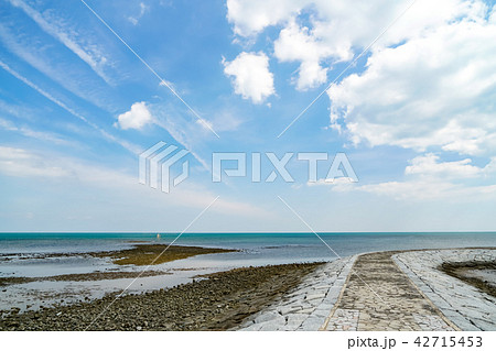 浜の宮海岸 42715453