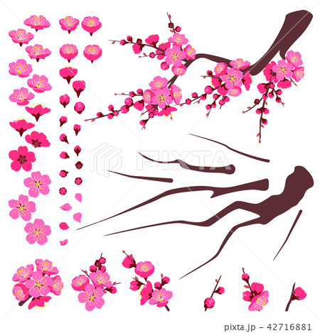 Plum Blossom Elements Set. 42716881