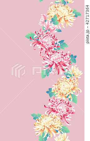 菊の着尺 菊の着尺 42717364