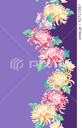 菊の着尺 42717367