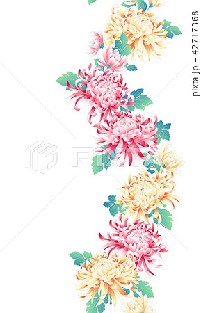 菊の着尺 42717368