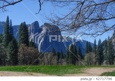 Yosemite Valley Floor 42717796