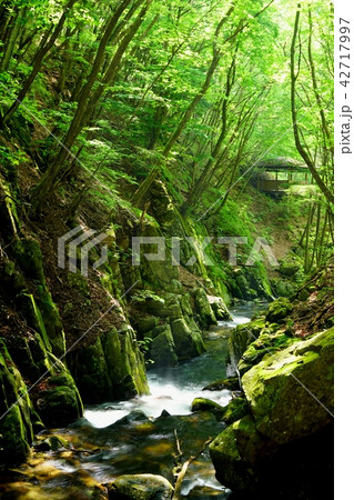 巣栗渓谷 長野県 巣栗渓谷 長野県 42717997