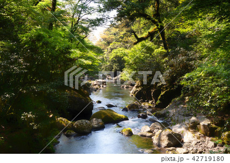 菊池渓谷 42719180