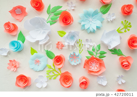 color paper flowers on the white stucco. color paper flowers on the white stucco. 42720011