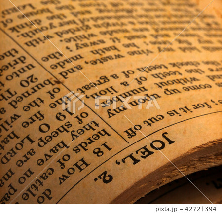 Holy Bible Holy Bible 42721394
