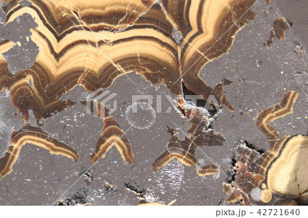 natural agate texture natural agate texture 42721640