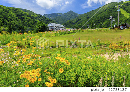 五竜 五竜 42723127