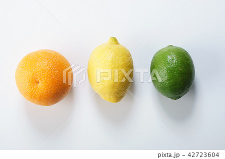 citrus fruits citrus fruits 42723604