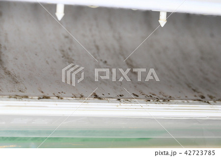 猛暑 エアコンクリーニング 空調 カビ エアコン内部洗浄 アレルギー アトピー 喘息 せきぜんそく 猛暑 エアコンクリーニング 空調 カビ エアコン内部洗浄 アレルギー アトピー 喘息 せきぜんそく 42723785