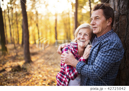 Senior couple on a walk in an autumn forest. 42725042