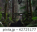 上色見熊野座神社　パワースポット　阿蘇 42725177