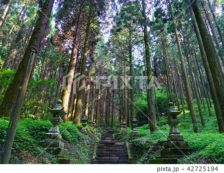 上色見熊野座神社 パワースポット 阿蘇 上色見熊野座神社 パワースポット 阿蘇 42725194