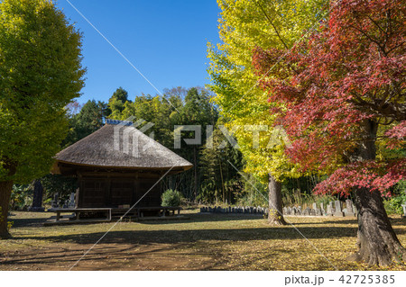 紅葉の秋 42725385