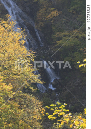 日光 蛇王の滝 秋 日光 蛇王の滝 秋 42728383