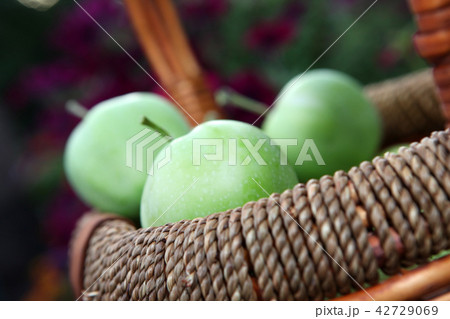 green Apple Basket garden  42729069
