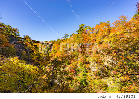 【宮城県】鳴子峡の紅葉 42729101