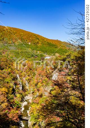 【宮城県】鳴子峡の紅葉 【宮城県】鳴子峡の紅葉 42729102