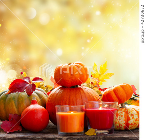 Fall harvest of pumpkins Fall harvest of pumpkins 42730652