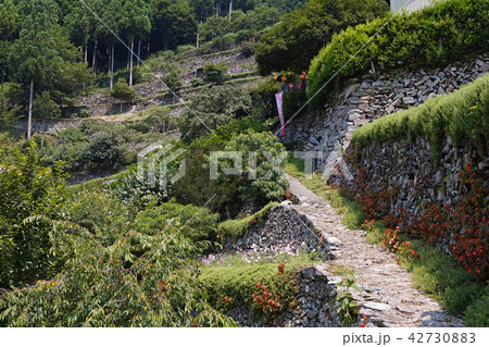 【にほんの里100選・徳島県・隠れた観光名所】高開の石積み 42730883