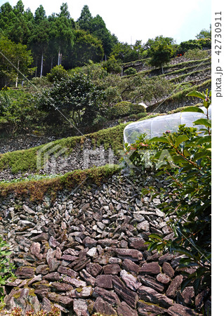 【にほんの里100選・徳島県・隠れた観光名所】高開の石積み 42730911