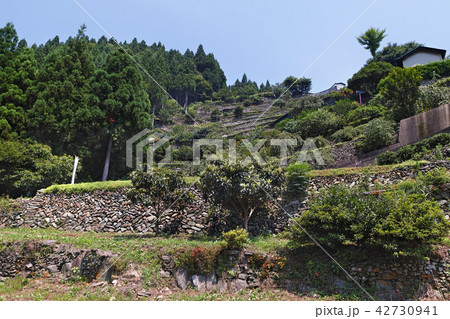 【にほんの里100選・徳島県・隠れた観光名所】高開の石積み 42730941
