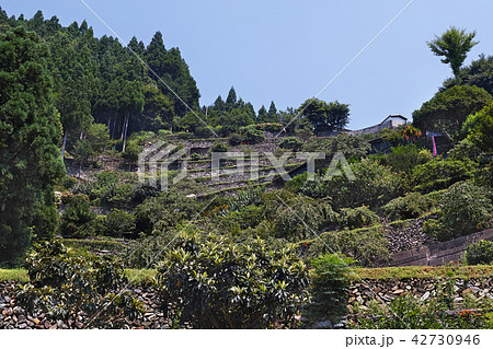 【にほんの里100選・徳島県・隠れた観光名所】高開の石積み 42730946