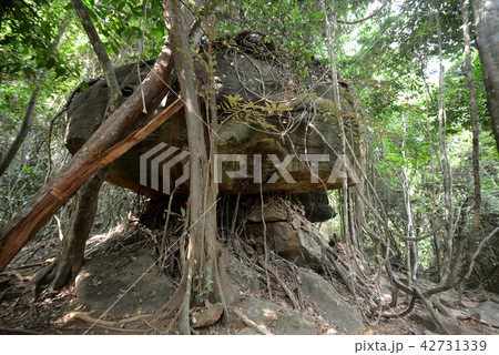 CAMBODIA SIEM REAP ANGKOR KBAL SPEAN TEMPLE 42731339