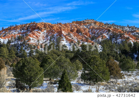 Red Canyon Utah in Winter Red Canyon Utah in Winter 42731642