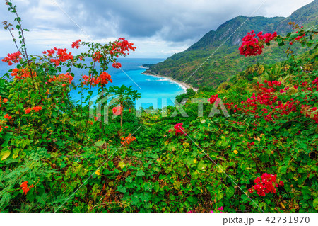 natural wild landscape , azure water of sea ocean natural wild landscape , azure water of sea ocean 42731970