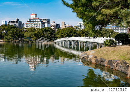 大濠公園 観月橋 大濠公園 観月橋 42732517
