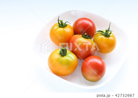 トマト　採りたて野菜 42732667