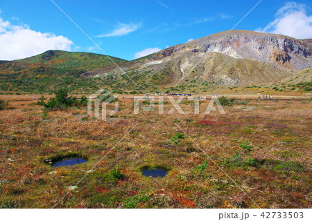 浄土平 浄土平 42733503